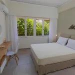 Anemelia Luxury *